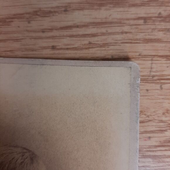 Cabinet Card Photo Austen Hoppin Fox NYC Union Square George Rockwood - Picture 7 of 11